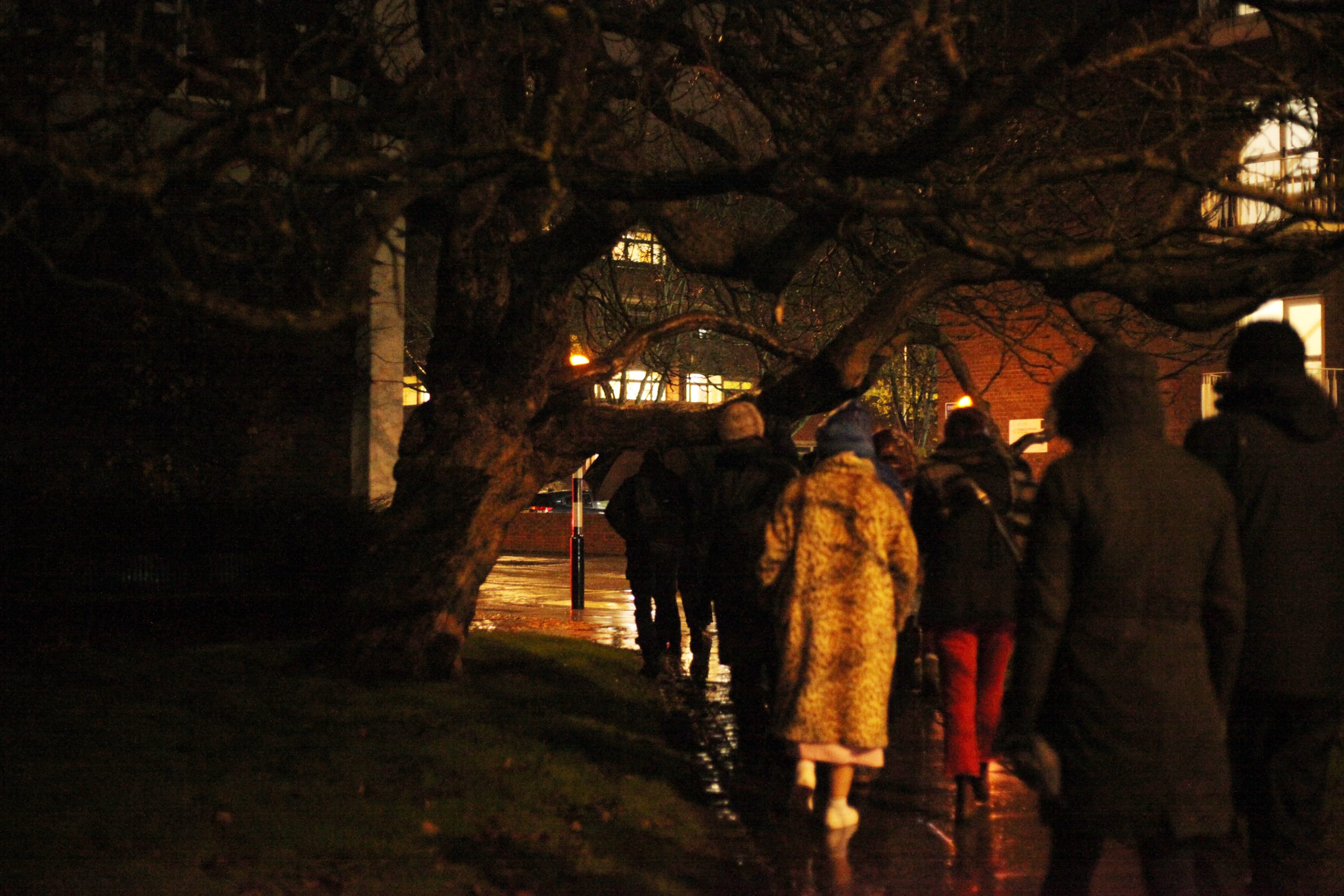 people walking under the Indian Bean Tree on a nighttime street